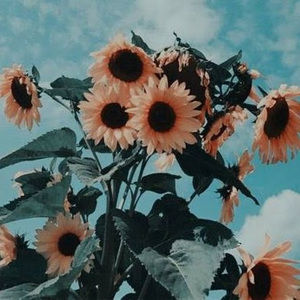 Meet your Posher, Luna